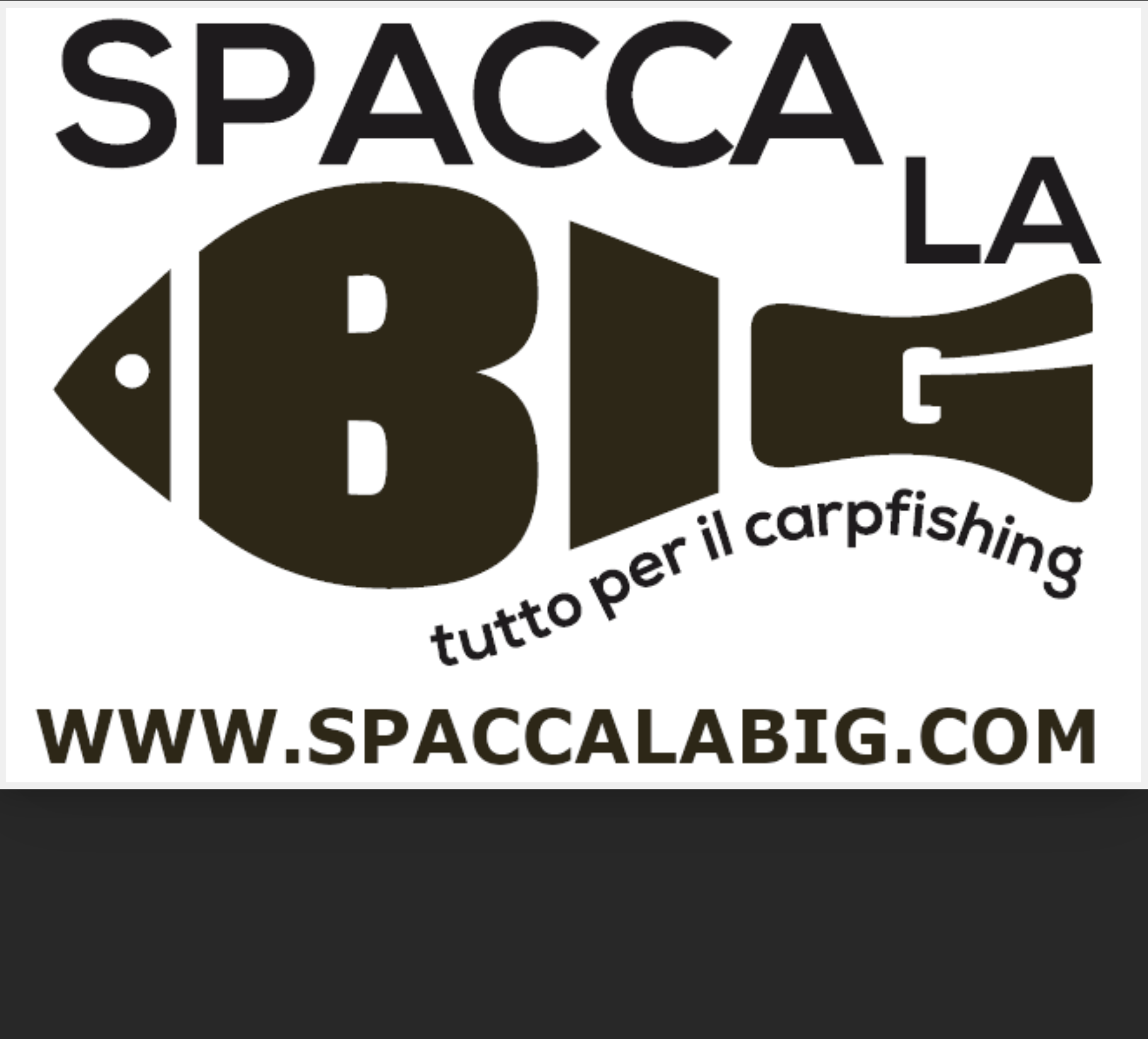 spaccalabig