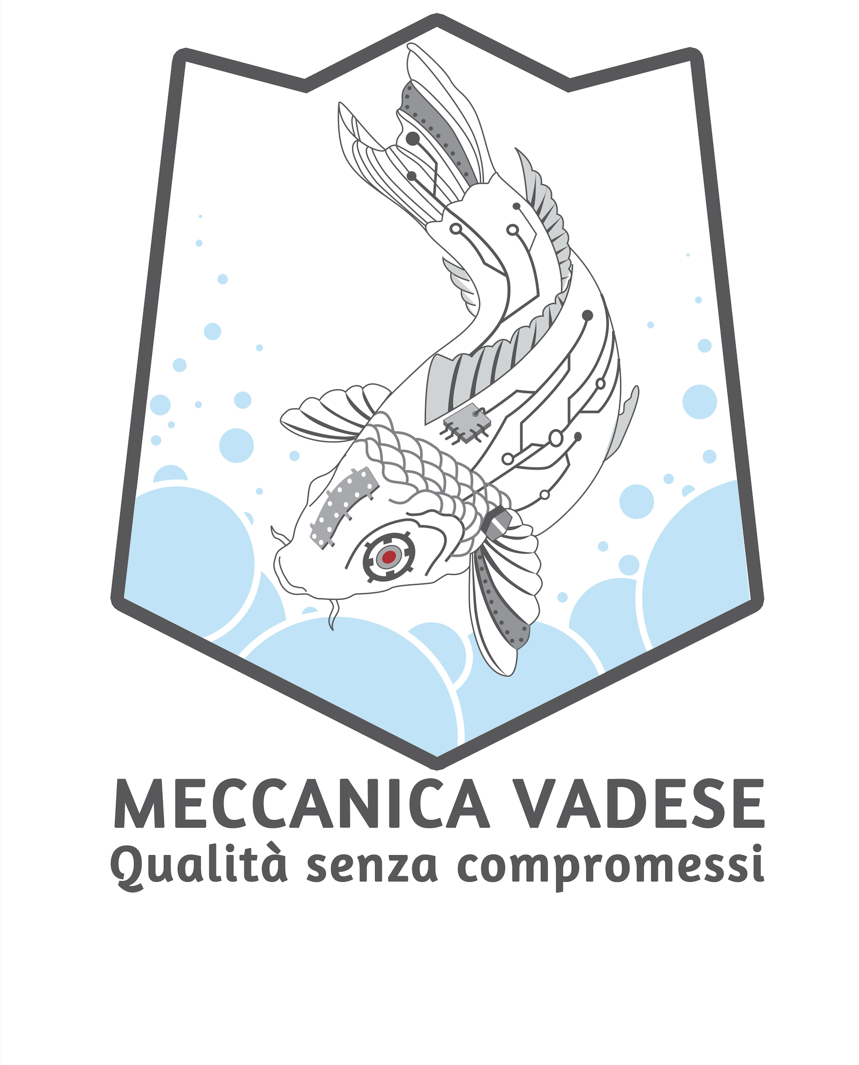 meccanicavadese